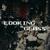 Looking Glass - Evan Marien