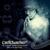 Shapeshifter - Celldweller