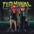 TERMINAL - Instasamka