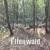 Elfenwald - Arnoon