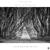 Intertwined - Indivision