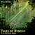 Tears Of The Kingdom - Main Theme (From "The Legend Of Zelda - The Tears Of The Kingdom") - Wyllz Milare