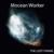 The Chaos Is Real - Mocean Worker