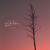 Autumn - Wylder