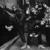 Constant Elevation - Gravediggaz