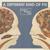 Shuffle - Bombay Bicycle Club