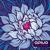 Off Chops - Opiuo