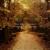 Sleep Well - The Best Pessimist