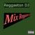 El Reggaeton - Reggaeton DJ