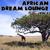Forget your fears - African Tribal Orchestra