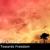 Don't Forget Me - PrOmid