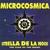 Estrella De La Noche The Star Of The Night (Medianoche Mix) - Microcosmica