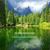 Relaxing Guitar Music - Pierluigi Colangelo