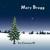 'Cause It's Christmas - Mary Bragg
