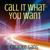 Call It What You Want - The Karaoke Gang