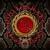 Get Up - Whitesnake