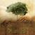 Planted - A Beautiful End