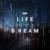 Life is Like a Dream - Wry