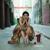 No More - Madeleine Peyroux