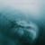 Overture - Lights & Motion