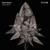 The Crossing - Adam Beyer
