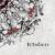 The Bear Dance - Ithilien