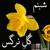 Gulam Eidat Mubarak - Shabnam