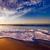 Circle in the Sand - Microwave Monkeys