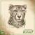 Fences - Matt Wertz