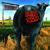 Untitled - Blink-182