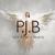 To The Ones - P.J.B