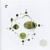Pollen Forms - Elve
