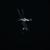 Una fiaba - DVNIL