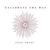 Celebrate the Day - Jacki Drane