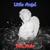 Somebody Loves Me - Paul Anka
