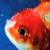 Yeah Right - Vince Staples