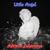 Peppermint Twist - Paul Anka