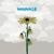 More Than Useless - Relient K