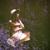 Desperate and Depressed - Margo Price