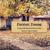 Forever Young - Stephen Ford