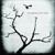 Sometime Around Midnight - The Airborne Toxic Event