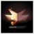 Continuum - Lemaitre