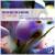 Let Love Live - Bryan Milton