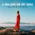 A Million on My Soul - Alexiane
