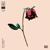 Big - Lemaitre