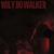 When the Angels Call Your Time - Wily Bo Walker