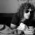 Central Park n West (Live at the Dr Pepper Festival, New York City) - Ian Hunter