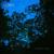 Find it - Lobo
