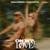 On My Love - Zara Larsson