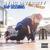 I Wanna Live Again - Sync Diversity & Big J Beezy feat. Farisha